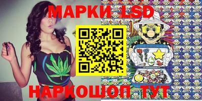 дурь Сланцы