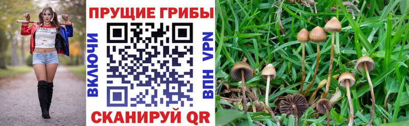 Псилоцибиновые грибы ЛСД  мега как зайти  Глазов  цены наркотик 