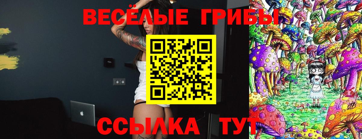 Псилоцибиновые грибы мицелий Глазов