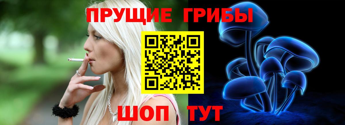 Галлюциногенные грибы Cubensis  Вход с VPN  Глазов  Псилоцибиновые грибы Magic Shrooms 